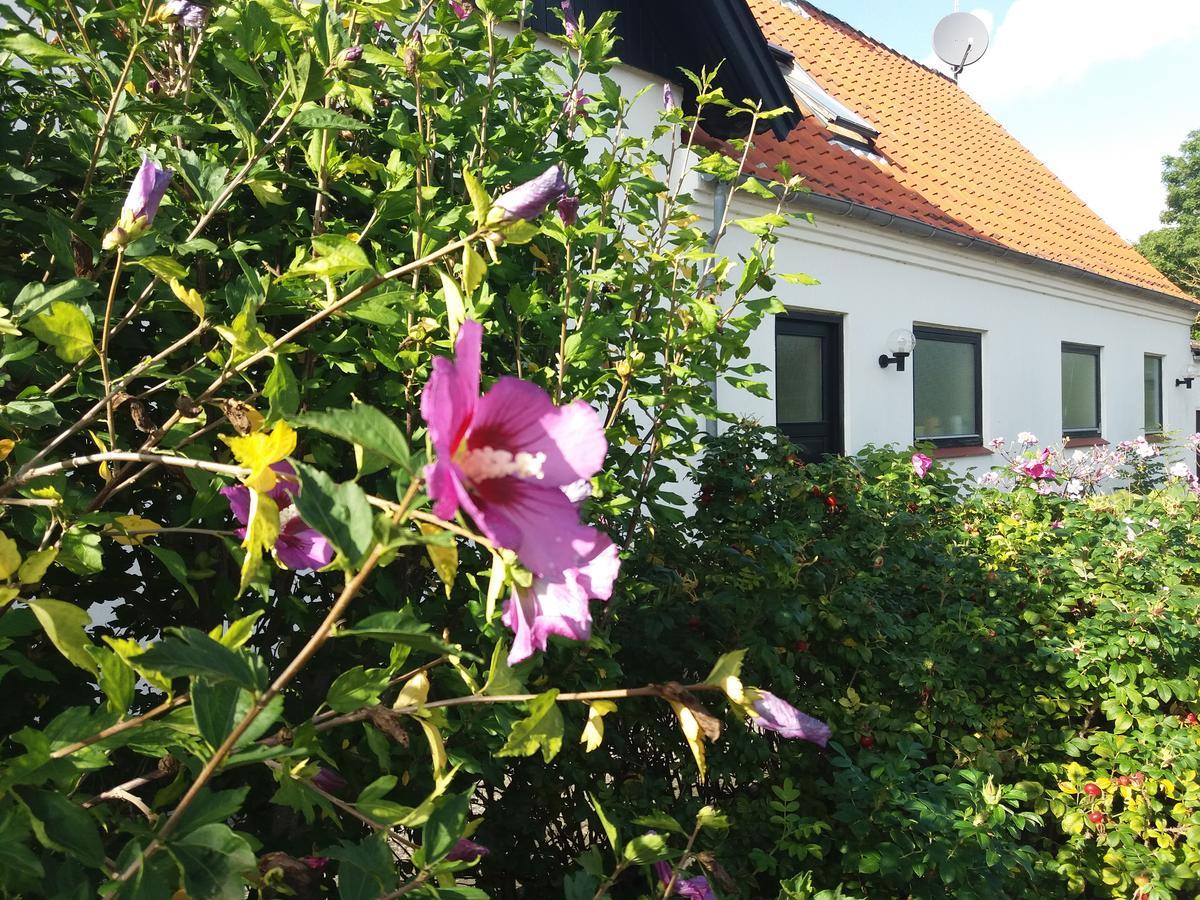 B & B Hygge Stoense Exterior photo
